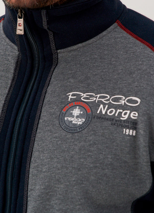Костюм  спортивный Fergo F25-001 серый
